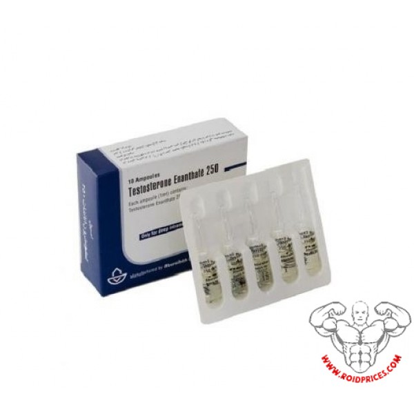 Kaufen Sie Aburaihan Testosteron Enanthate Mg Ampullen Um